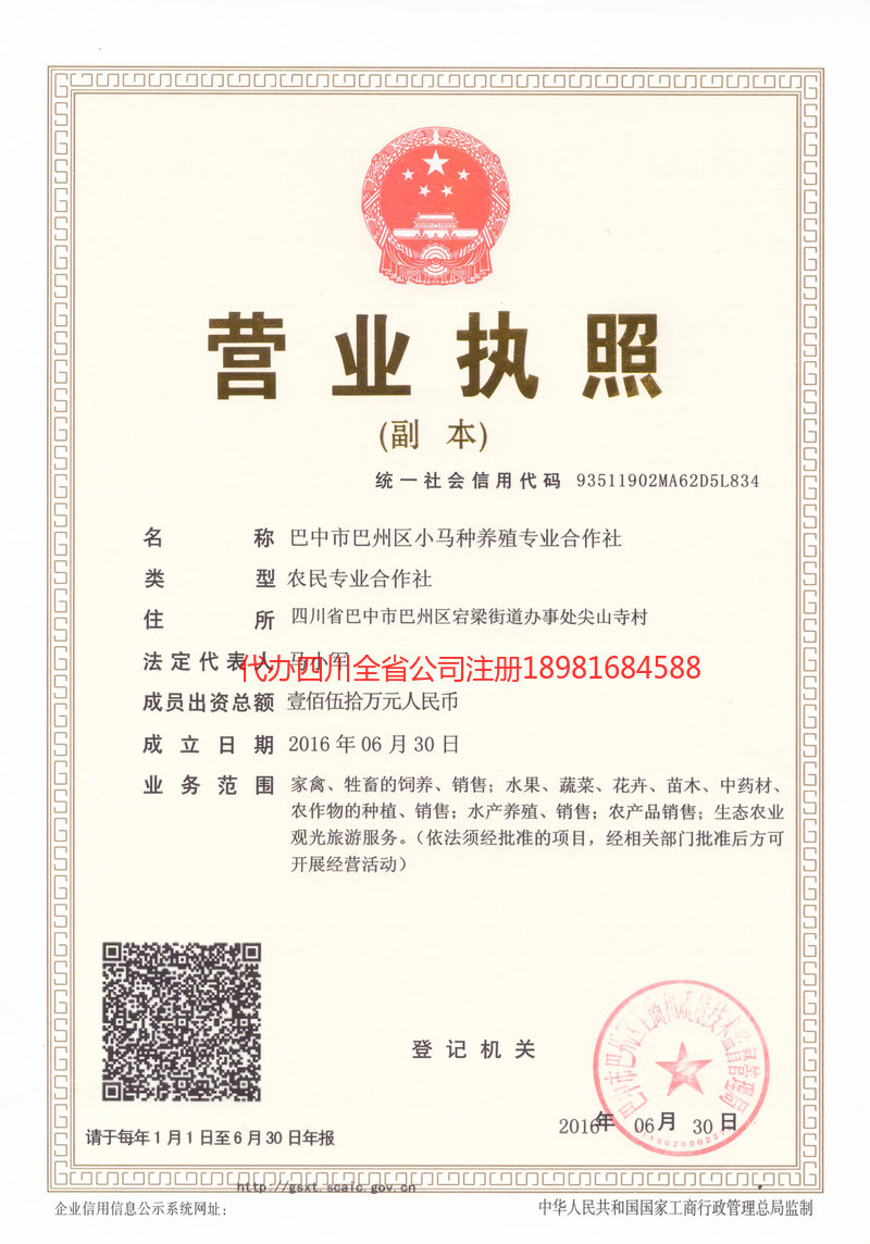 牙克石牙克石小马种养殖专业合作社